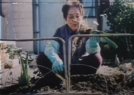 Soil Depths