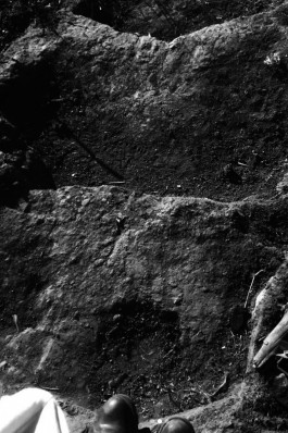 Soil Depths